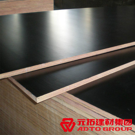 河北建筑木模板多少錢一張？河北木模板價格表？